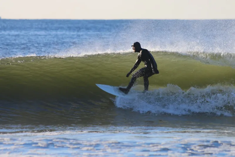SERP Mastery in 2026: Riding the Wave of Search Evolution