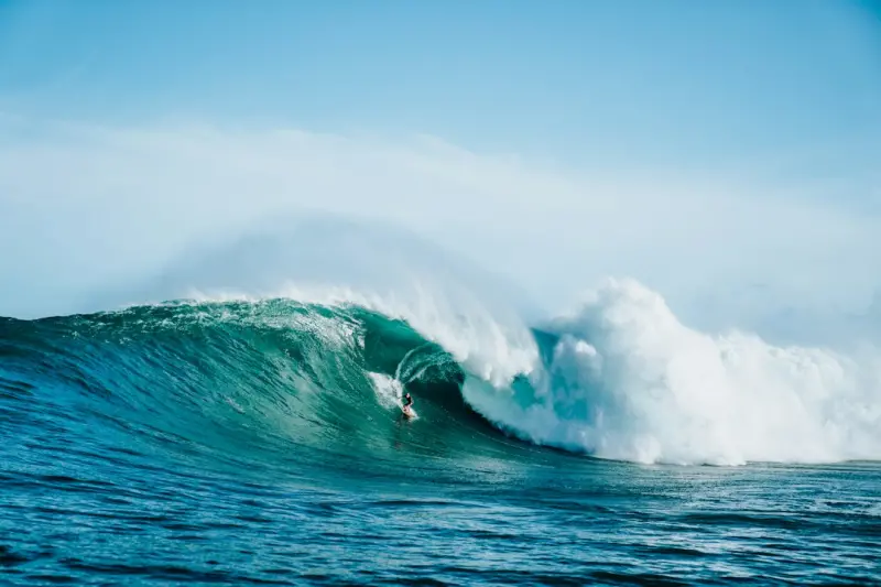 Riding the Wave: Mastering SERP Volatility for B2B SaaS Success