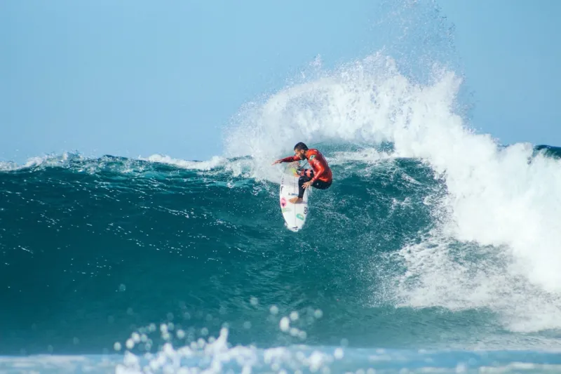 Riding the SERP Wave: Paula Wright’s 2024 Playbook for Dominating Search Results
