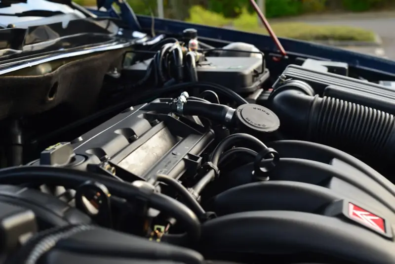 Local Reviews: The Hidden Engine Driving SaaS Growth