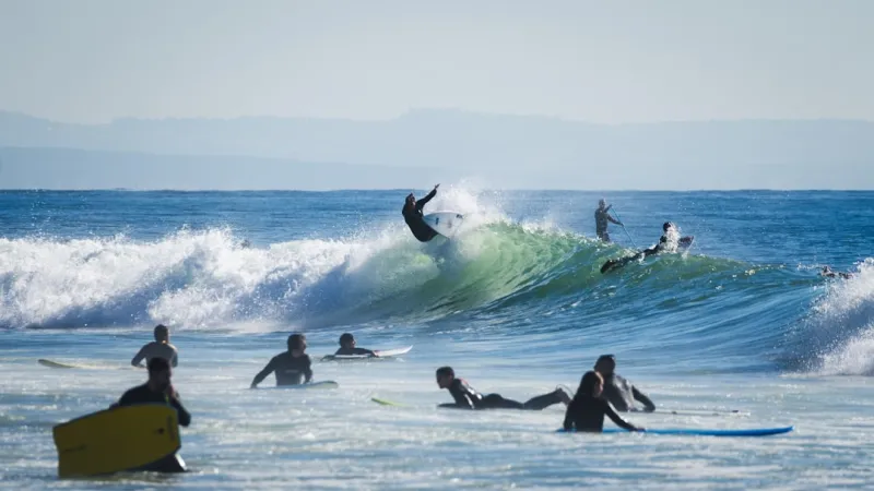 Riding the 2024 Social Strategy Wave: Brandy Miller’s Insider Playbook