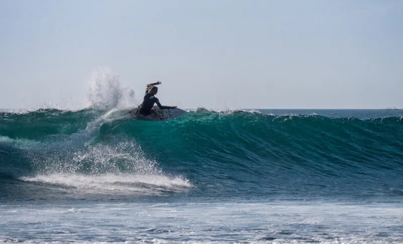 Riding the Social Strategy Wave: Tom Ferguson’s 2024 Playbook