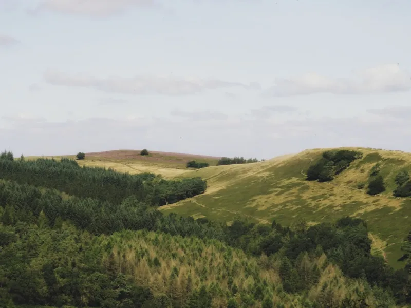 The Shifting Landscape of SERPs: What You Need to Know