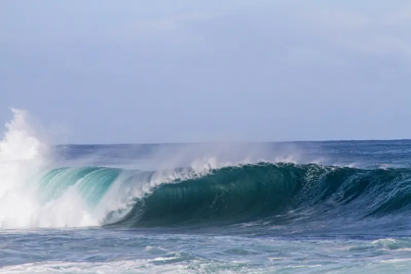 Riding the Wave of SERP Volatility: Turning Fluctuating Rankings into Strategic Wins