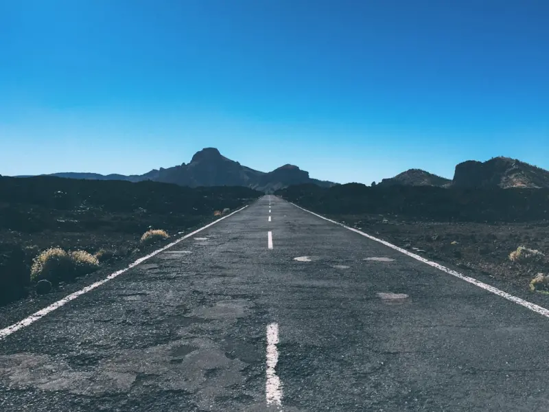 Navigating SERP Volatility: A Resilient Roadmap for SaaS Brands