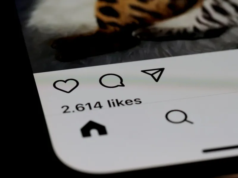Why Social Media Still Feels Like the Wild West in 2024: Nikki McDonald’s Insider Playbook