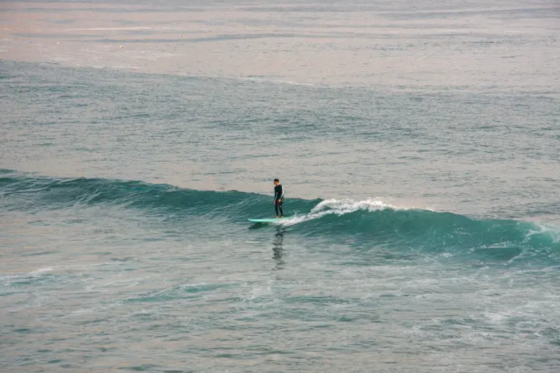 Riding the Waves of SERP Volatility: A Real‑Time Playbook