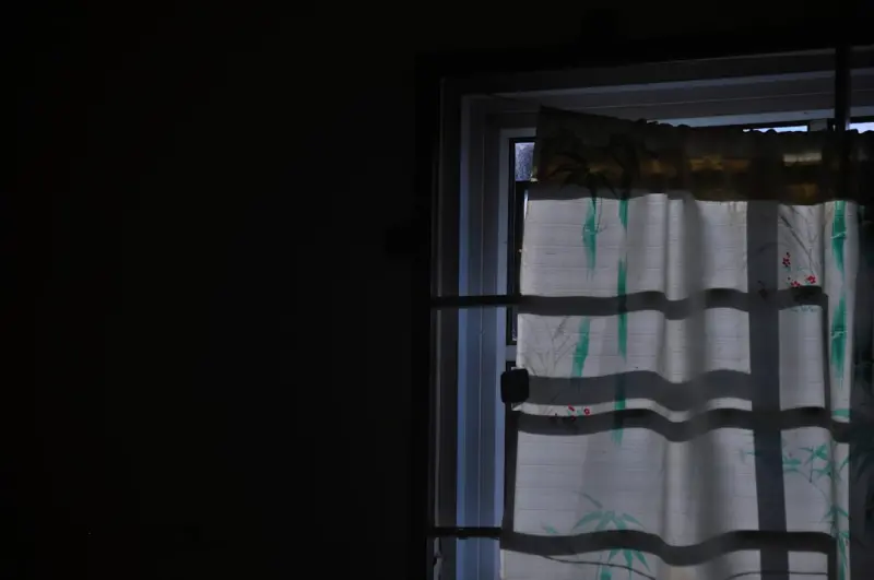 Peeking Behind the Curtain: How Algorithmic Transparency Shapes B2B SaaS Social Strategies