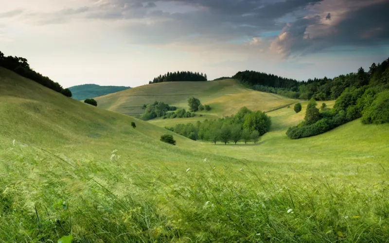 The Shifting Landscape of SERPs: What You Need to Know