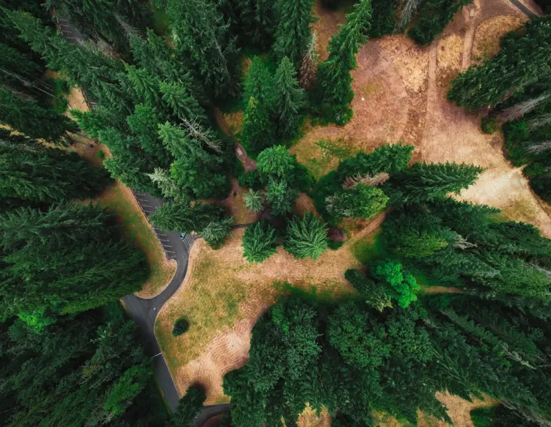 Building an Evergreen SEO Content Hub: A Strategic Blueprint