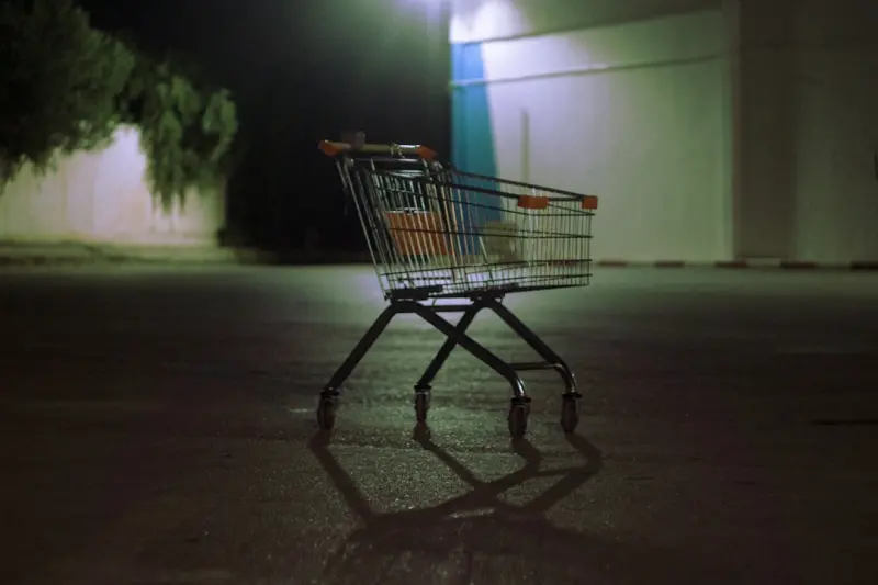 Cart Abandonment Reimagined: How Dynamic Checkout Paths Boost Revenue