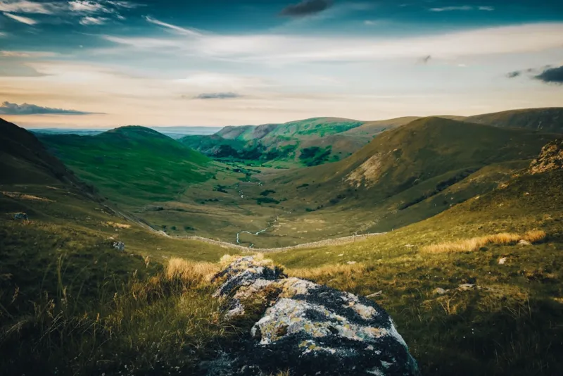 The Shifting Landscape of SERPs: What You Need to Know