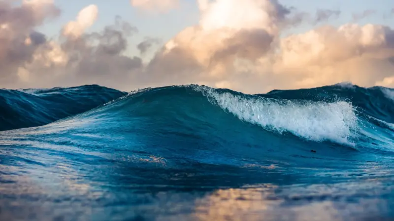 Riding the Waves: Mastering SERP Volatility for SaaS Success