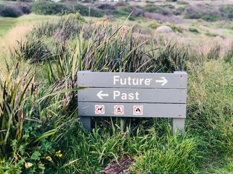 The Future of Social Strategy: How to Stay Ahead in a Rapidly Changing Landscape