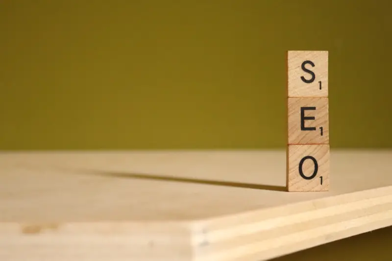 SEO Resilience: Building a Site That Thrives Through Algorithm Volatility